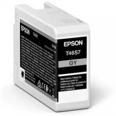 T46S700 | Original Epson T46S6 Grey UltraChrome Pro 10 Ink, 25ml, for SureColor SC-P700 Image