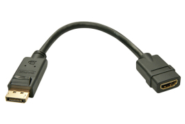 Lindy DisplayPort to HDMI Passive Converter