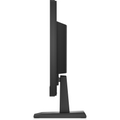 HP P19b G4 Monitor 47 cm (18.5") 1366 x 768 pixels WXGA LED Black Image